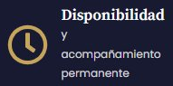 Disponibilidad y acompañamiento permanente